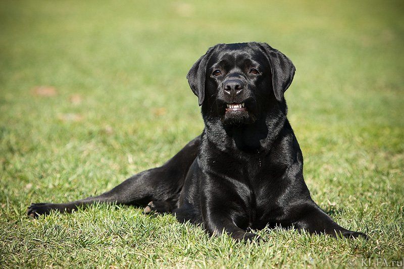 Голливуд отдыхаетphoto preview