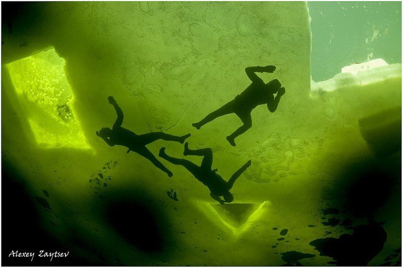 зайцев, обучение, подводной, фотографии, , белое, море, фри, дайверы Ниндзя подо льдомphoto preview