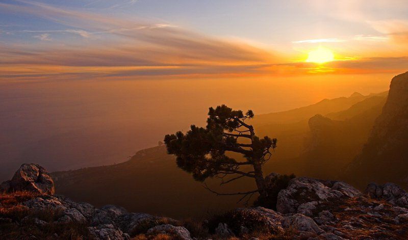 противостояниеphoto preview