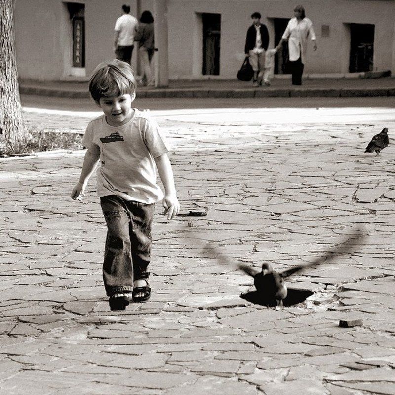 мальчик, голуби ловец птицphoto preview