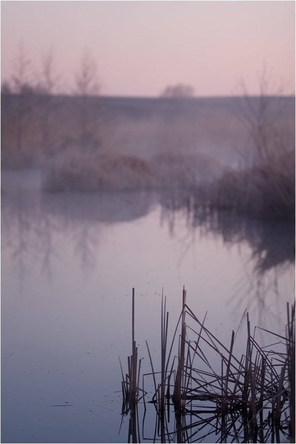 фомичево, болото, башкирия, Степанов Сергей