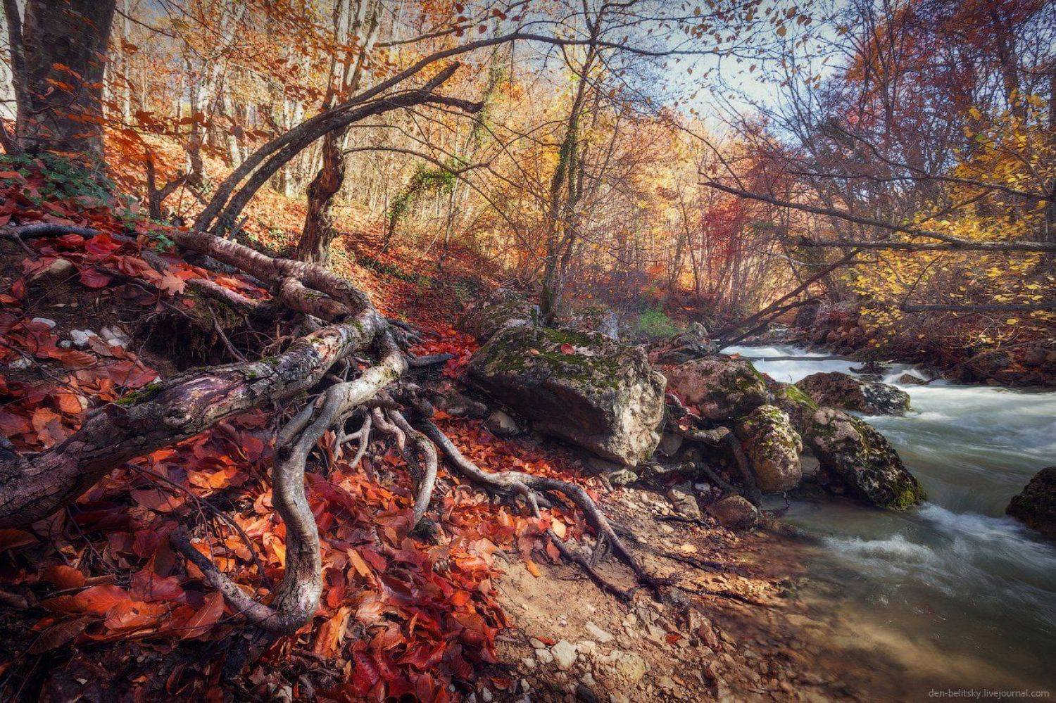 , Денис Белицкий