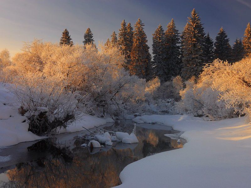 328 килограммов чистейшего никарагуанскогоphoto preview