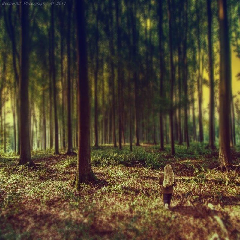 The Dream Sequencer IIIphoto preview