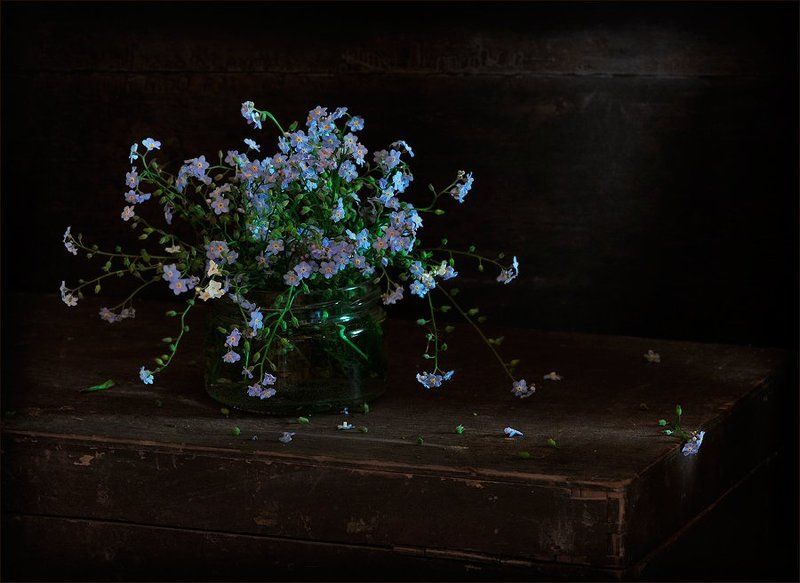 натюрморт, незабудки Не забыть...photo preview