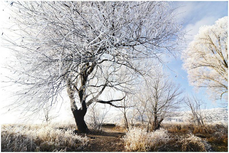 Первый ледphoto preview