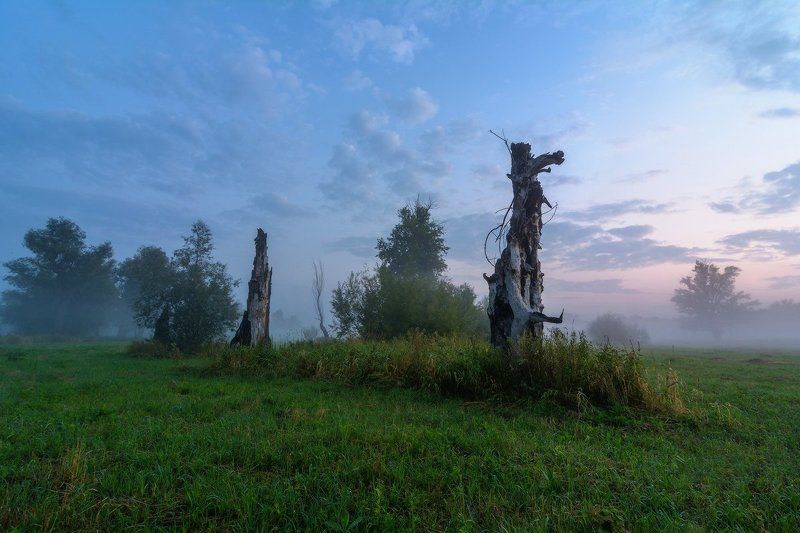 Истуканыphoto preview