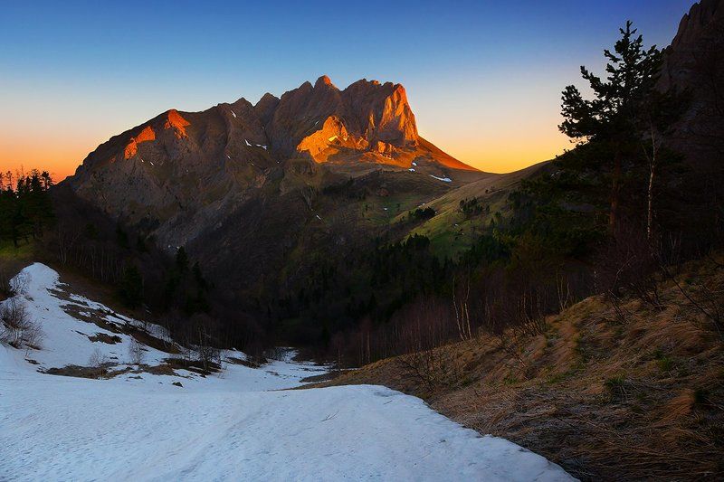 Годзилла перед подъемомphoto preview