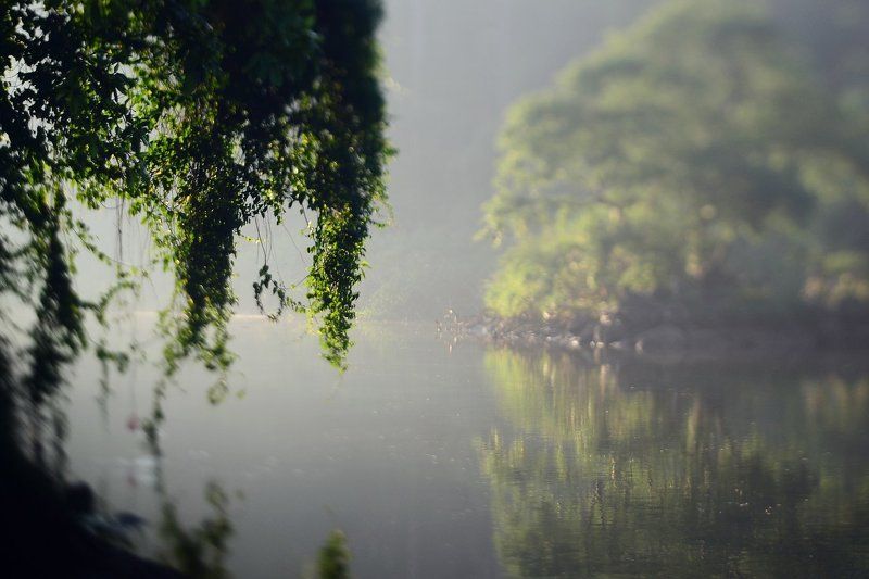 Mahaweli, River, Sri-Lanka, Махавели, Пейзаж, Природа, Река, Утро, Шри-ланка ***photo preview