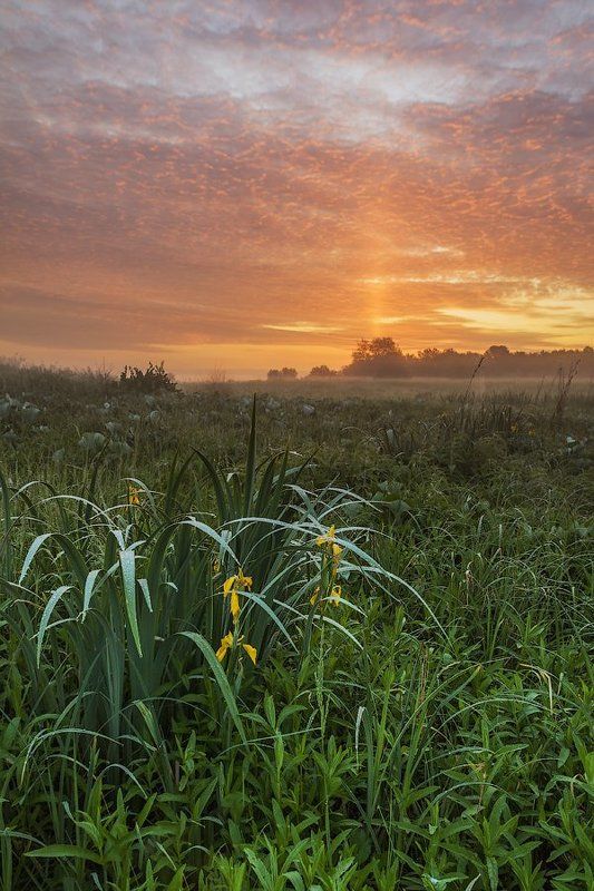 Перед восходом солнцаphoto preview