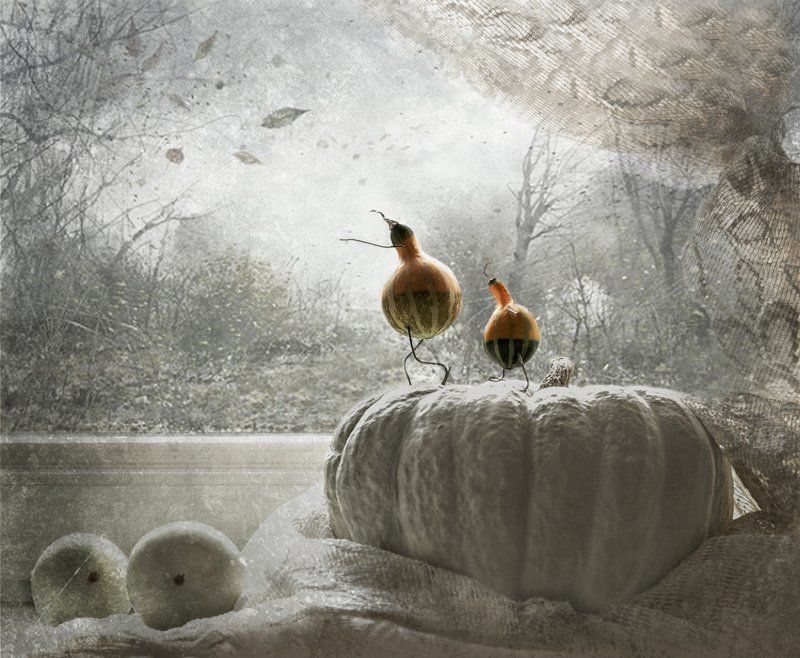 Осень, Тыквы, Фантазии, Юмор Это - осень, сынок...photo preview