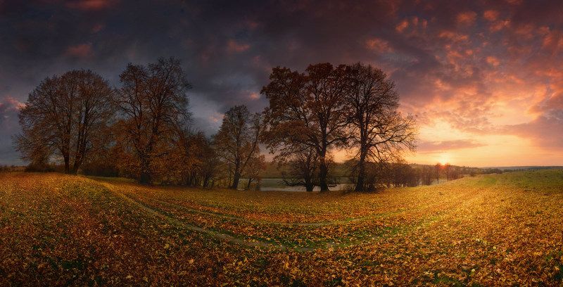 дорога, Листва, осень, утро Осенний смайлphoto preview