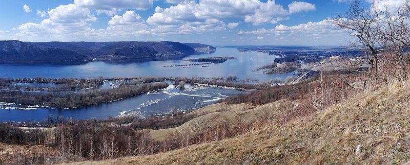 Лука веснойphoto preview