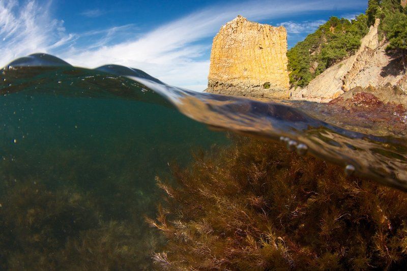 Кусочек летаphoto preview