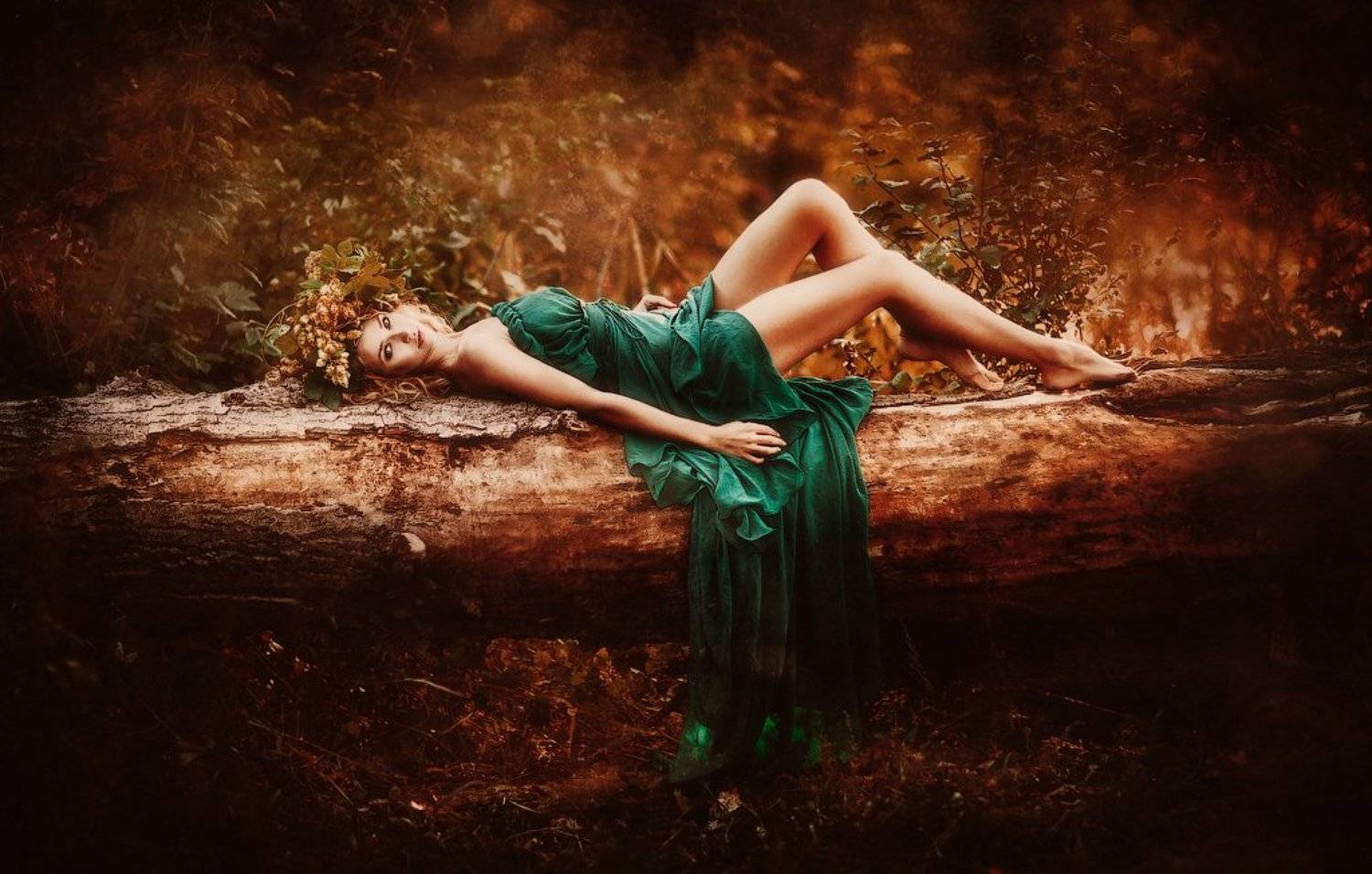 Автор: Беляева Светлана , Беляева Светлана