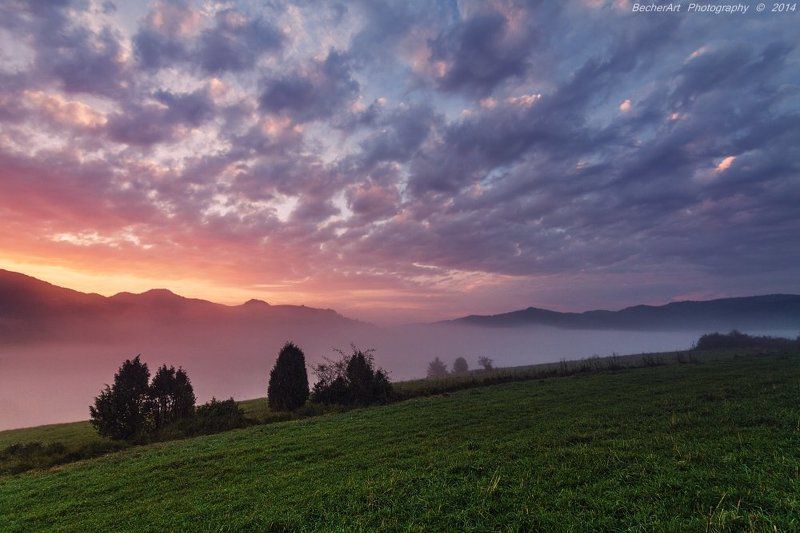 Silence Tells More IIIphoto preview