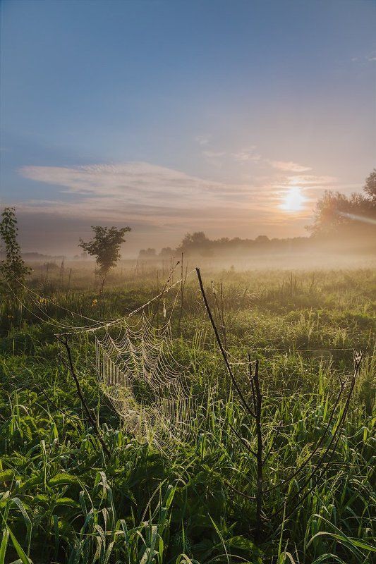 Сети на просушкеphoto preview