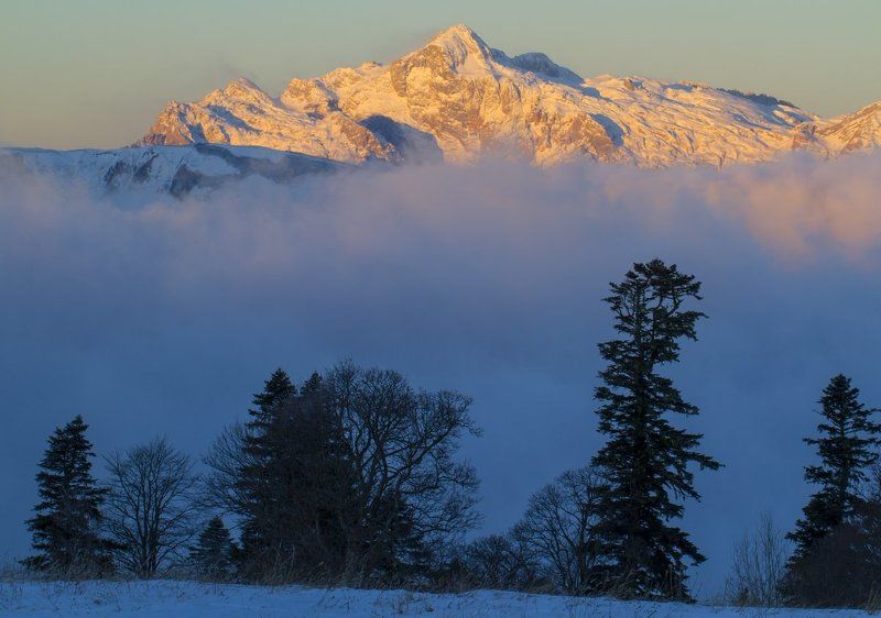 Абаго, Гора, Зима, Кавказ, Кавказский заповедник, Пихта, Северо-западный кавказ, Фишт Фиштphoto preview