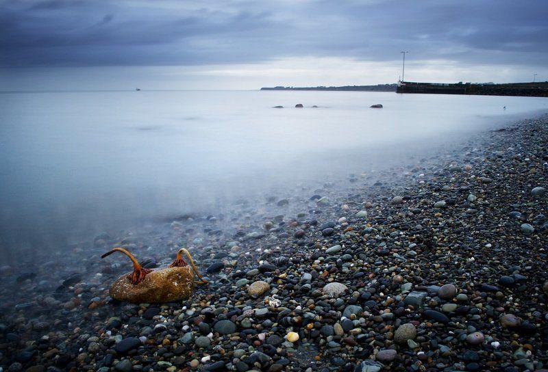 ND32, Northern Ireland Alienphoto preview