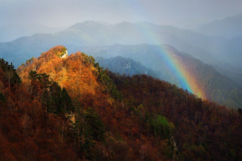 Когда в горах после дождяphoto preview