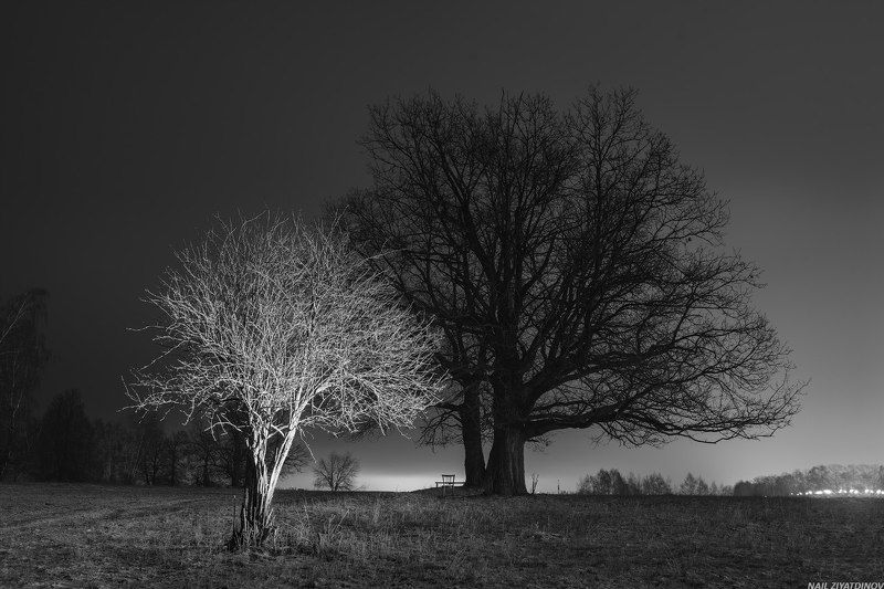 Черное и белоеphoto preview