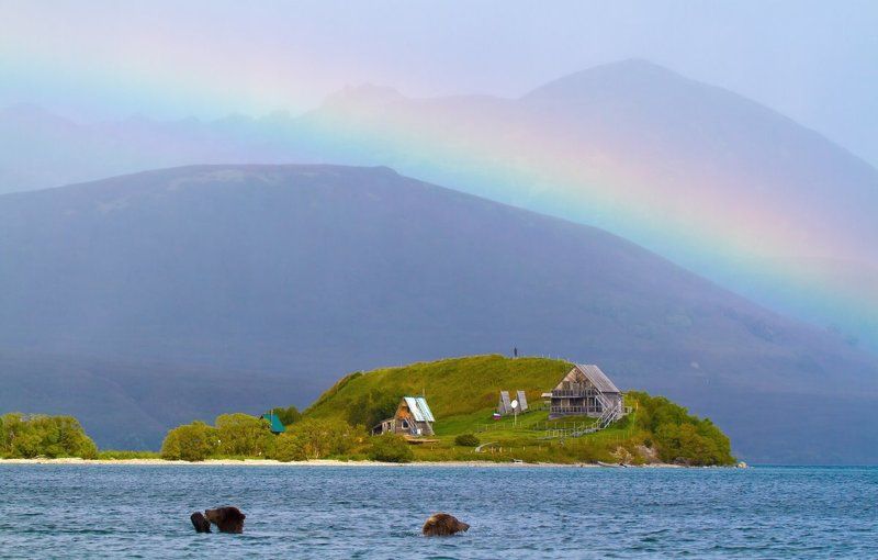 Заповедник, Камчатка, Курильское озеро, Медведь, Травяной мыс Человек, медведи и радугаphoto preview