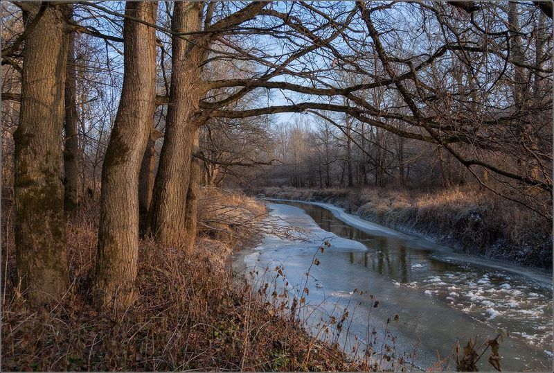 Свольнянкаphoto preview