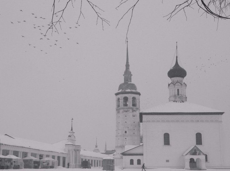 b&w в городе Nphoto preview