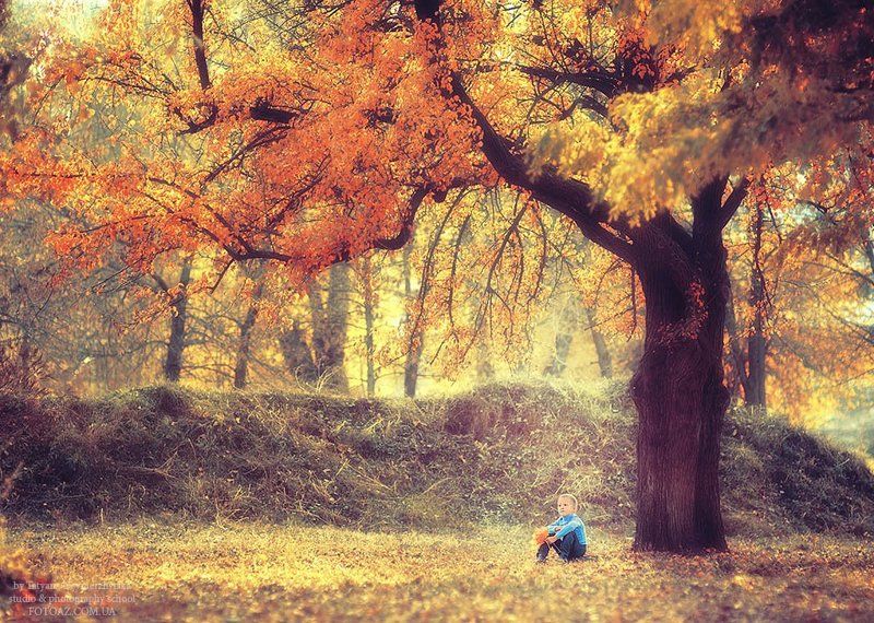 Осеньphoto preview