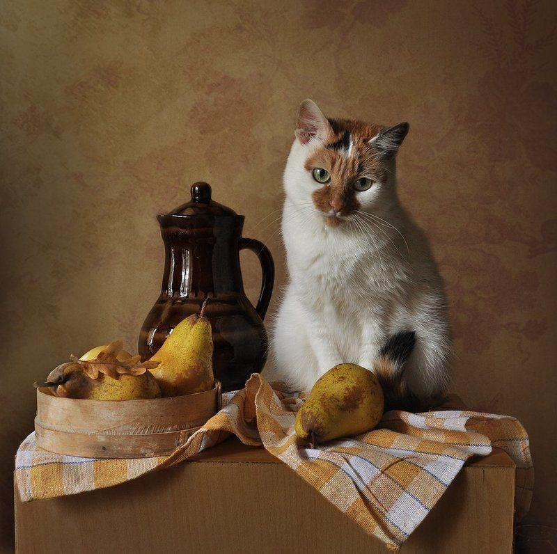 осенний портрет в интерьереphoto preview