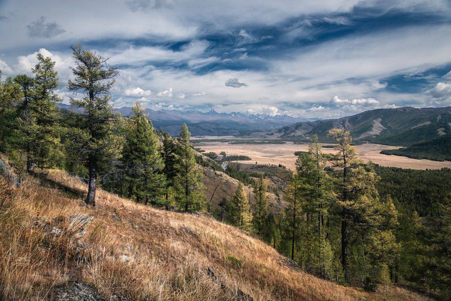 Степь Самаха. Автор: Дмитрий Антипов Алтай, Большой, Высокий, Высота, Горный алтай, Горы, Даль, Желтый, Зеленый, Небо, Облака, Пейзаж, Природа, Путешествие, Сибирь, Синий, Склон, Степь, Хребет, Широкий, Дмитрий Антипов