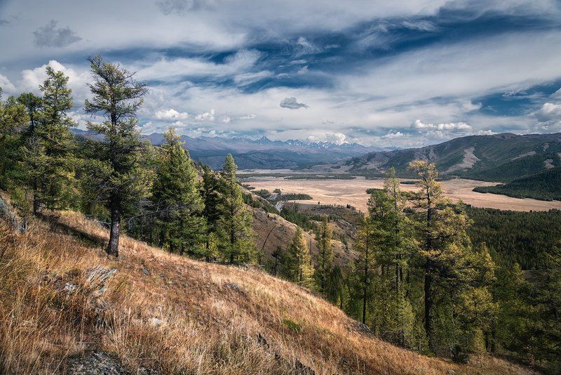 Алтай, Большой, Высокий, Высота, Горный алтай, Горы, Даль, Желтый, Зеленый, Небо, Облака, Пейзаж, Природа, Путешествие, Сибирь, Синий, Склон, Степь, Хребет, Широкий Степь Самахаphoto preview