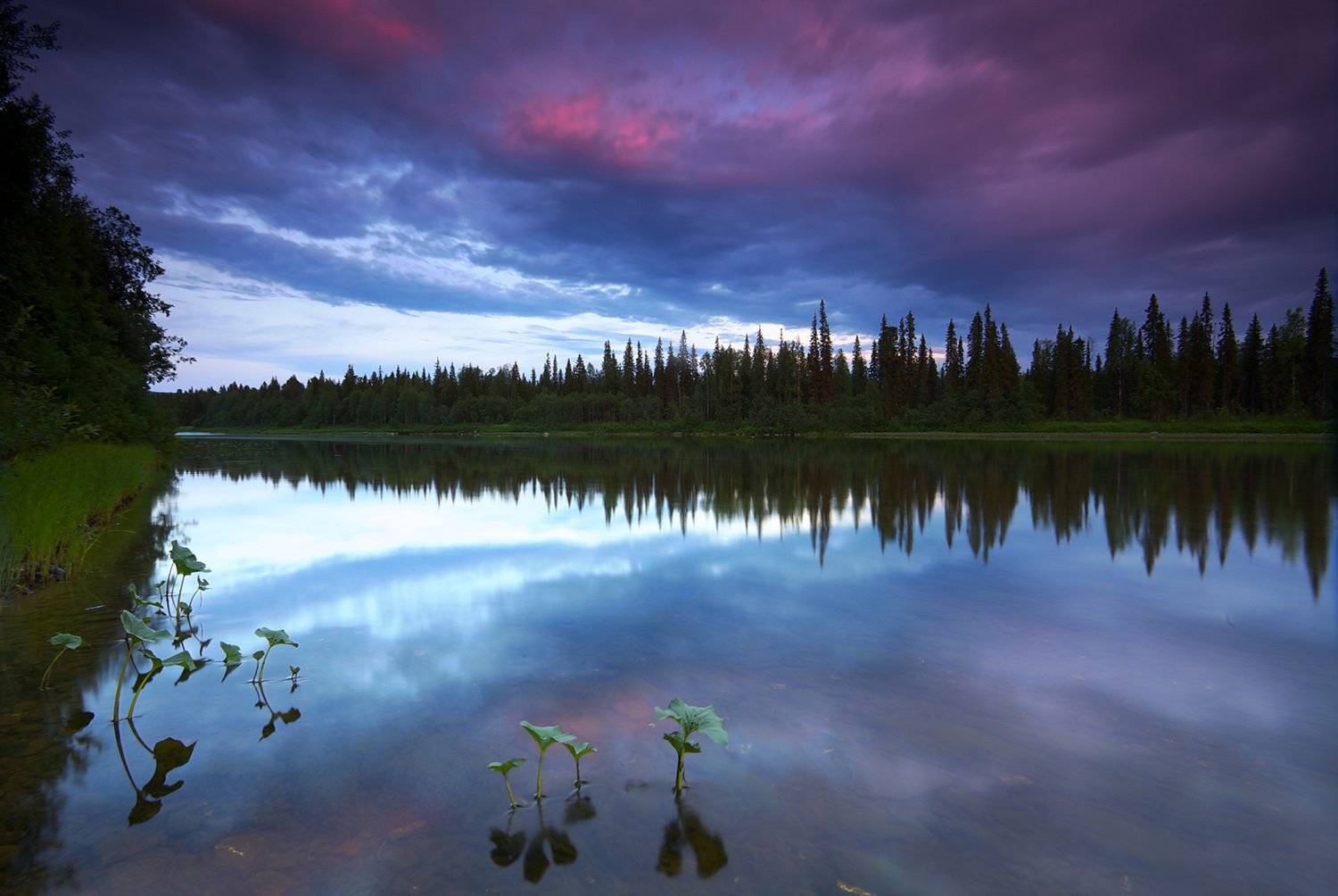 , Никифоров Егор