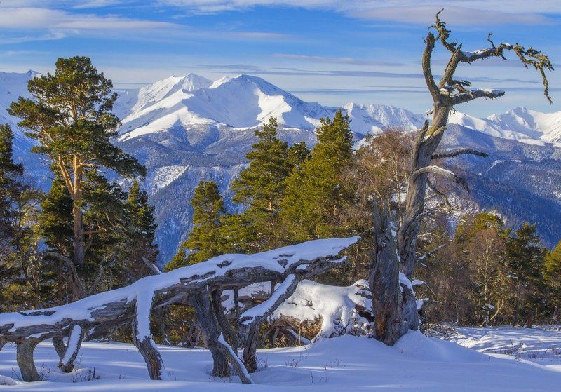 Зима в Кавказском заповедникеphoto preview