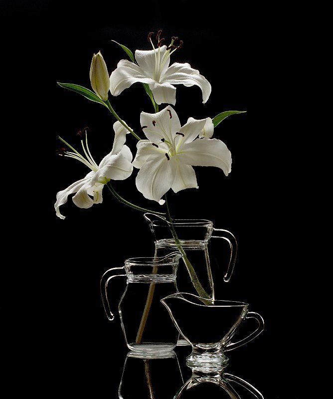 Чёрное и белоеphoto preview