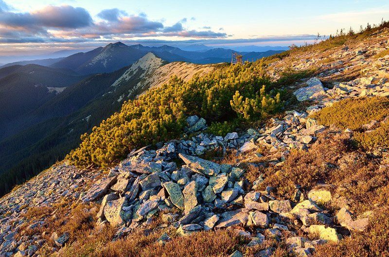 Bush, Karpaty, Landscape, Mountains, Stones, Sunset, Горы, Закат, Камни, Капрати, Кусты, Пейзаж photo preview