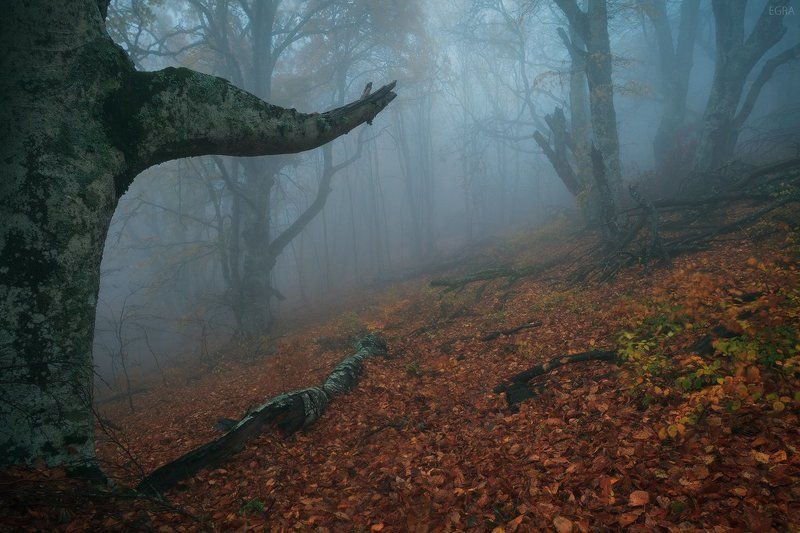 crimea, fog, mist, крым, туман водный мир Демирджиphoto preview