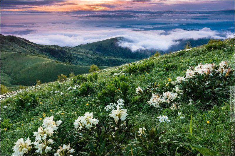Caucasus, Thachi, Кавказ, Тхачи ~ Весна идёт ~photo preview