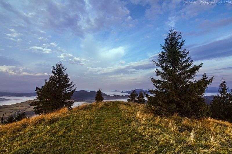 Dialogue VIIIphoto preview