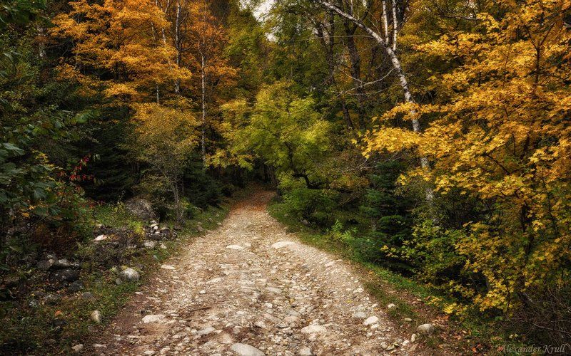 кавказ, кчр Там, на неведомых дорожках...photo preview