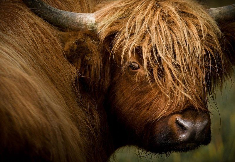 Bad Hair Dayphoto preview