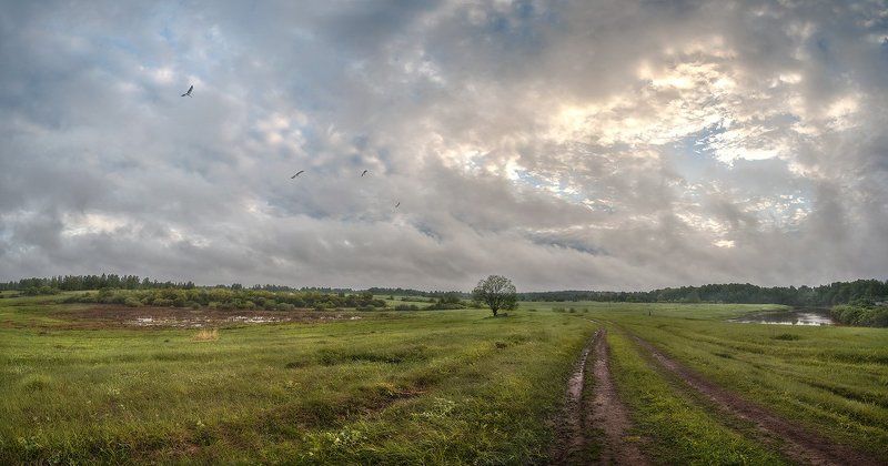 псковская область, пушкинские горы К ясному днюphoto preview