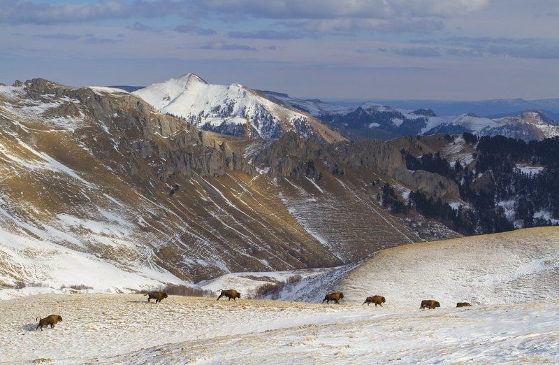 Великолепная семеркаphoto preview