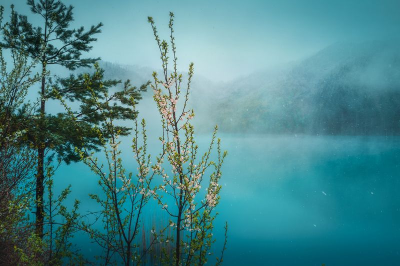 Winter in springphoto preview