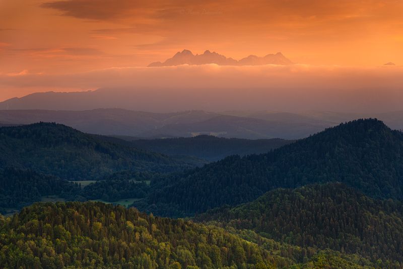 pieniny, tatry, tatras, carpathians, sunset, mountains, clouds, forest, trees, landscape, mountainscape, nikon, tamron, Broken Connectionphoto preview