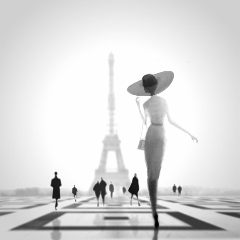 bw artphoto ***photo preview