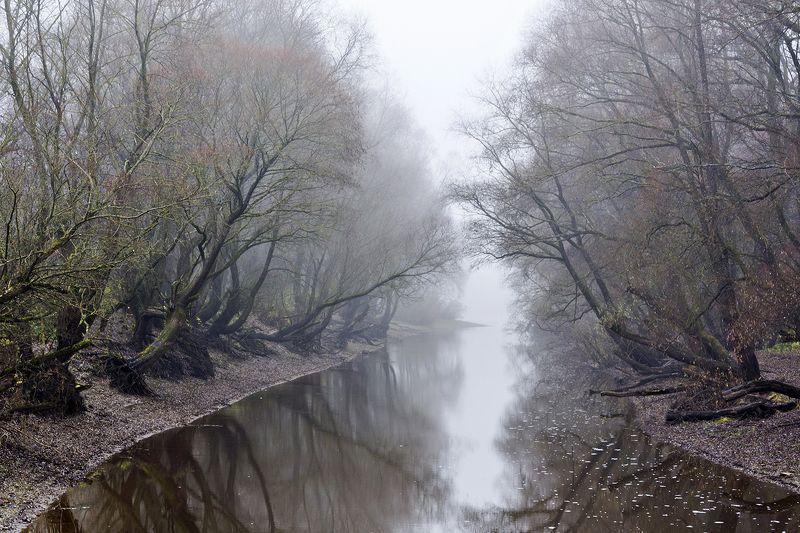 осеньphoto preview