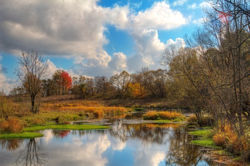 Золотая осеньphoto preview