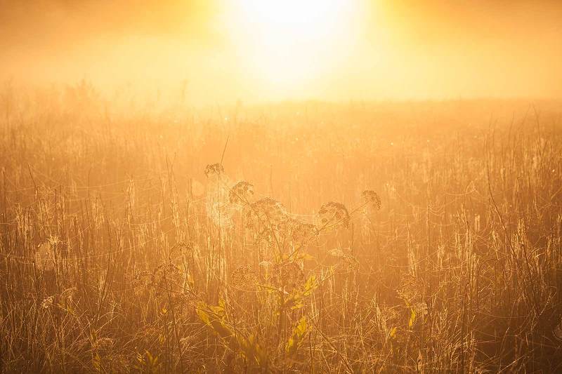 Восход в пойме реки Яваньphoto preview