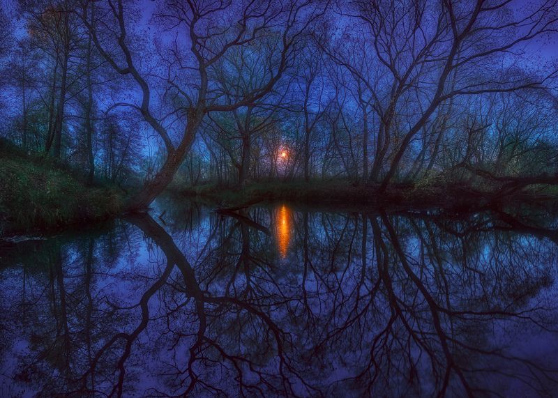 Moon...photo preview